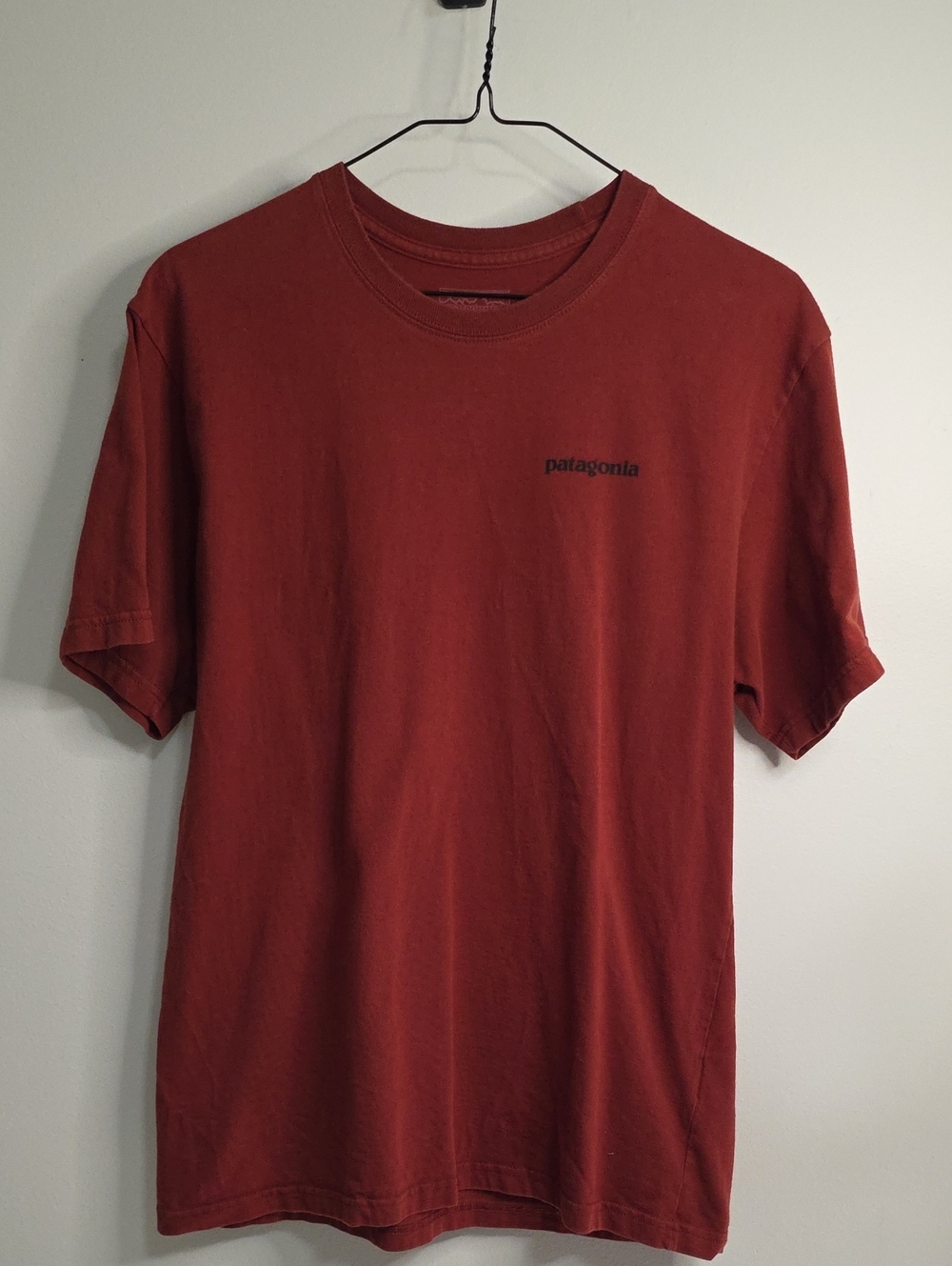 Patagonia Short Sleeve Crew Tee in Rust